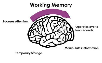 Tareas verbales de memoria de trabajo. - Blog - Stimulus | APP profesional  de estimulación cognitiva